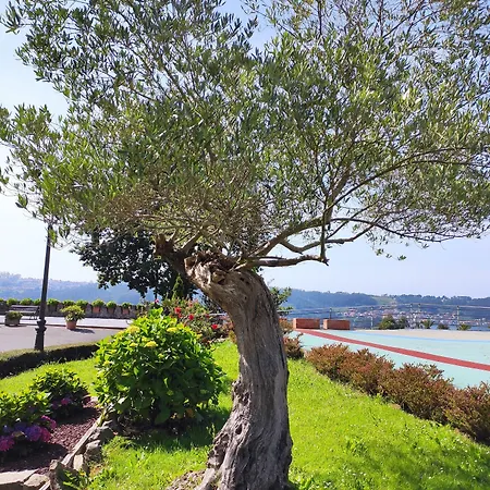 Palacio De La Magdalena Hotel Soto Del Barco